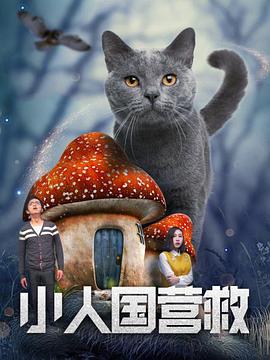 黄色夜市